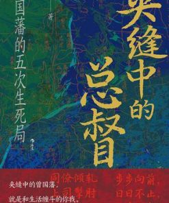 夹缝中的总督