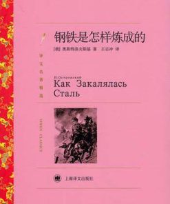 钢铁是怎样炼成的（译文名著精选）