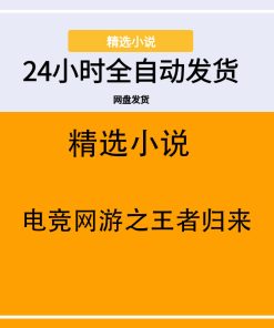 电竞网游之王者归来