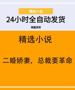 二婚娇妻，总裁要革命