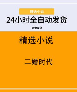 二婚时代