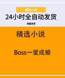 Boss一爱成婚