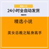 美女总裁之贴身高手