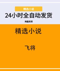 飞将