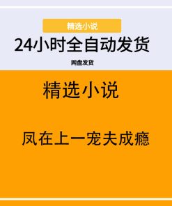 凤在上一宠夫成瘾