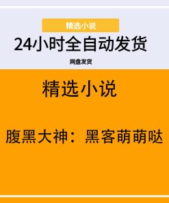 腹黑大神：黑客萌萌哒