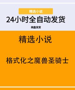 格式化之魔兽圣骑士