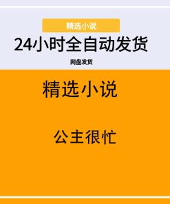 公主很忙