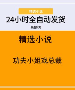 功夫小姐戏总裁