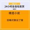 攻略对象出了错