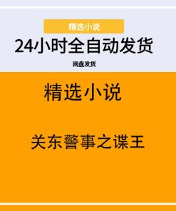 关东警事之谍王