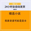 我家老婆可能是圣女