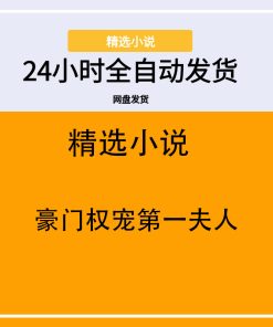 豪门权宠第一夫人