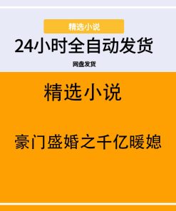 豪门盛婚之千亿暖媳