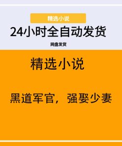 黑道军官，强娶少妻