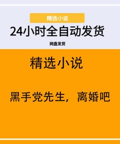 黑手党先生，离婚吧
