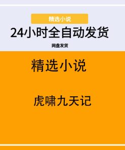 虎啸九天记