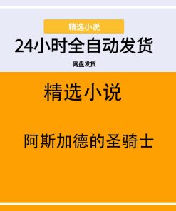 阿斯加德的圣骑士