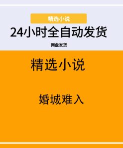 婚城难入