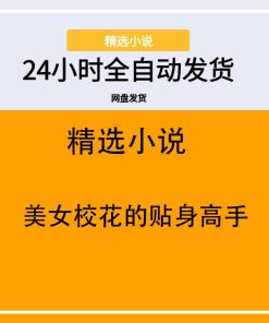 美女校花的贴身高手