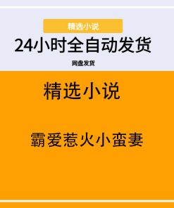 霸爱惹火小蛮妻