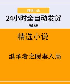 继承者之暖妻入局