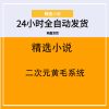 二次元黄毛系统