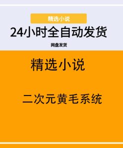 二次元黄毛系统