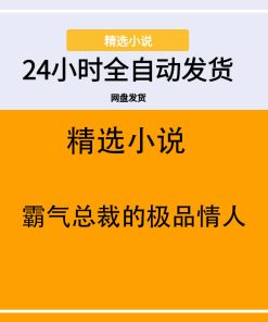 霸气总裁的极品情人