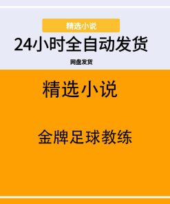 金牌足球教练