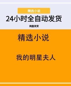 我的明星夫人