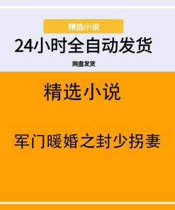 军门暖婚之封少拐妻