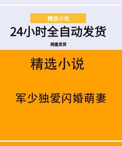 军少独爱闪婚萌妻