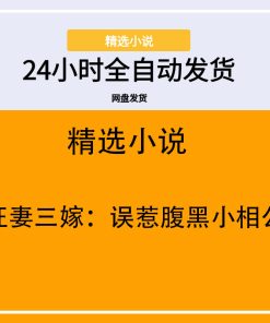 狂妻三嫁：误惹腹黑小相公