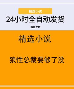 狼性总裁要够了没