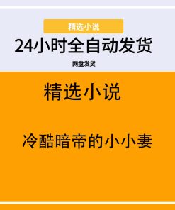 冷酷暗帝的小小妻