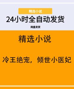 冷王绝宠，倾世小医妃