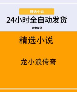 龙小浪传奇