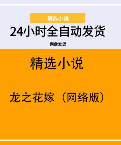 龙之花嫁（网络版）