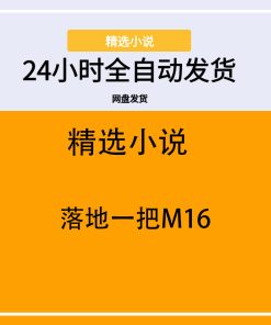 落地一把M16
