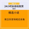 侯卫东官场笔记全集