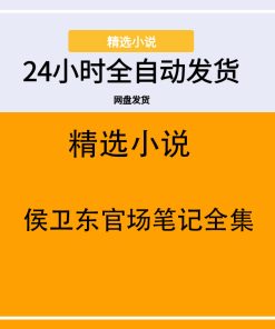 侯卫东官场笔记全集