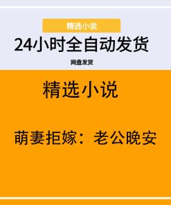 萌妻拒嫁：老公晚安