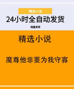 魔尊他非要为我守寡