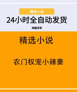 农门权宠小辣妻