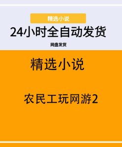 农民工玩网游2