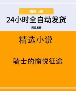骑士的愉悦征途