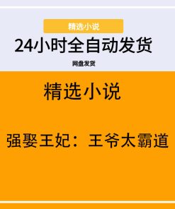 强娶王妃：王爷太霸道