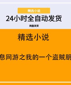 全息网游之我的一个盗贼朋友
