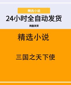 三国之天下使